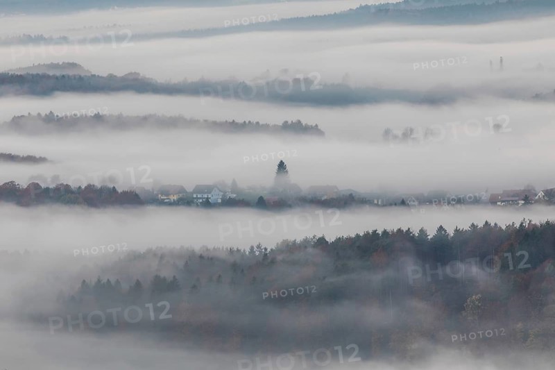 Autumn atmosphere in the early morning, fog drifts through the hilly landscape, St. Andrä-Höch, Sausal wine country, Styria, Austria