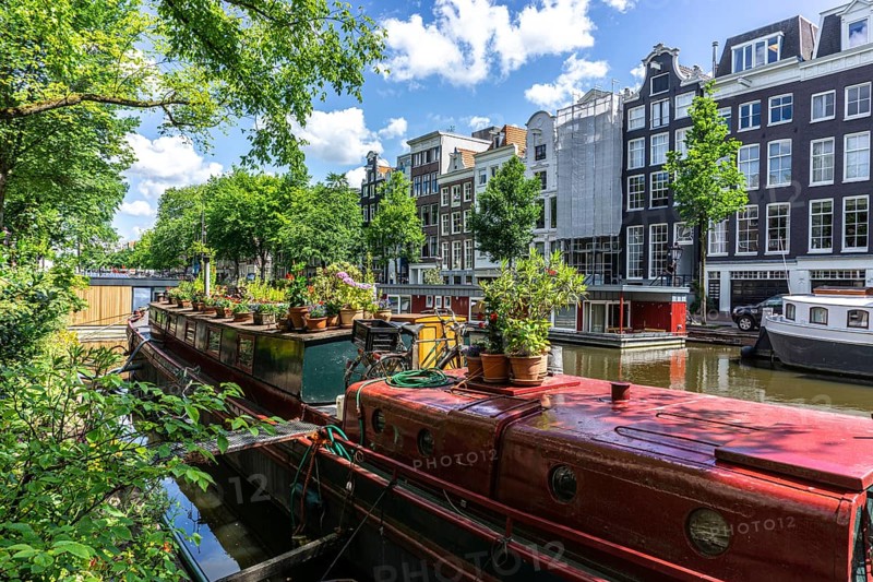 Houseboats in Amsterdam in summertime with beautiful houses in the background and Green trees