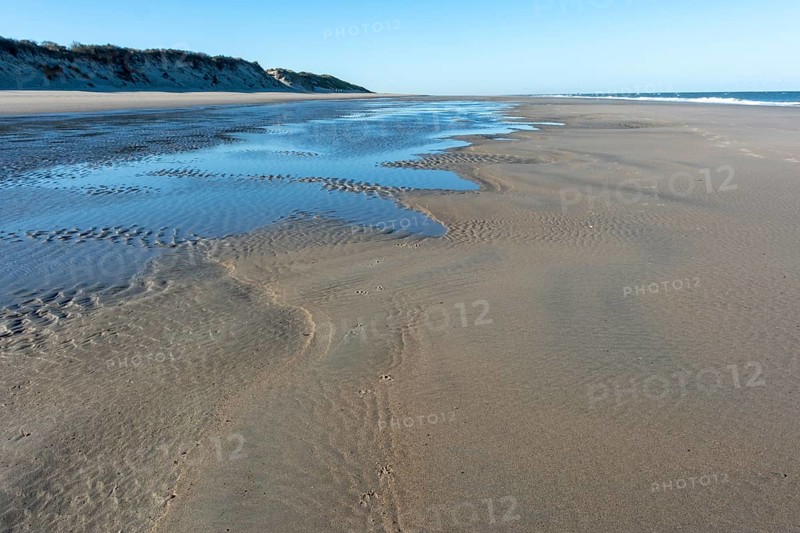 Low tide, which drains the seawater from the North Sea