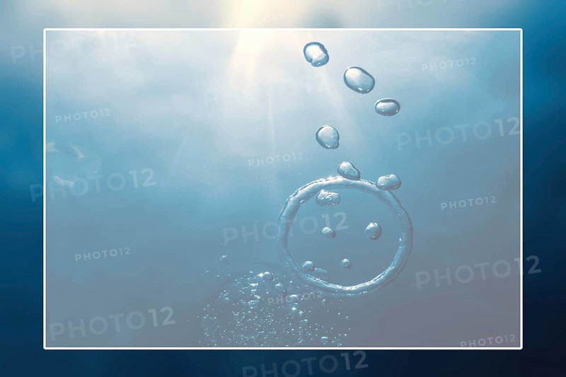 Underwater background white border frame, water surface blank text box