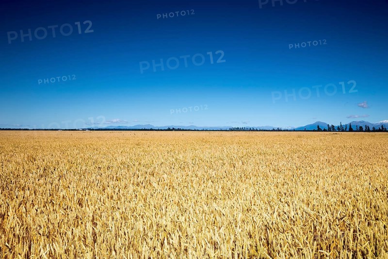 An image of a beautiful landscape in the south part of New Zealand