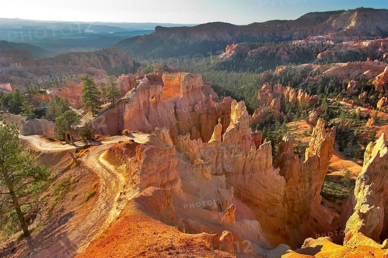 The well-known orange rocks in Bryce canyon in state of Utah USA