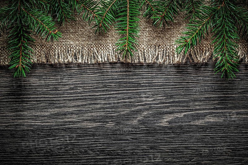 Vintage hessian pine branch on wooden board Christmas background