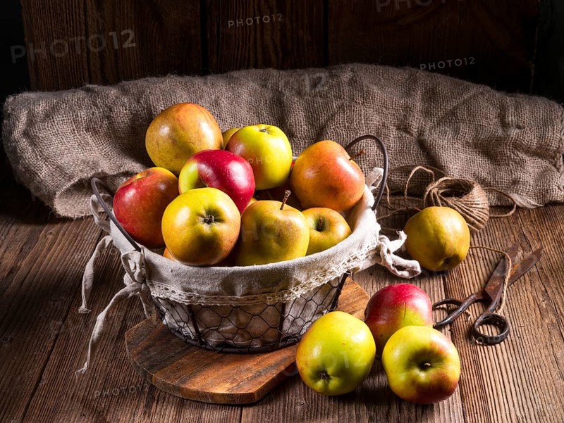 Fresh autumn apples in the basket