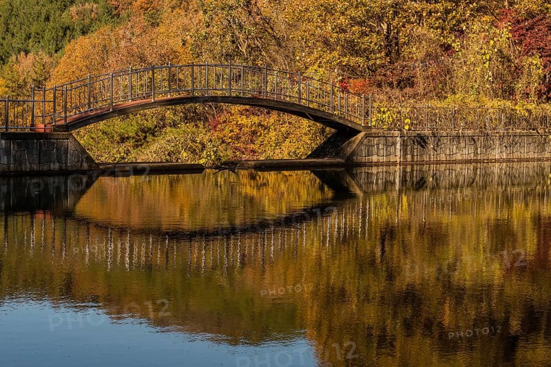 Footbridge over small pond in mountain valley with trees in beautiful fall colors in background, South Korea