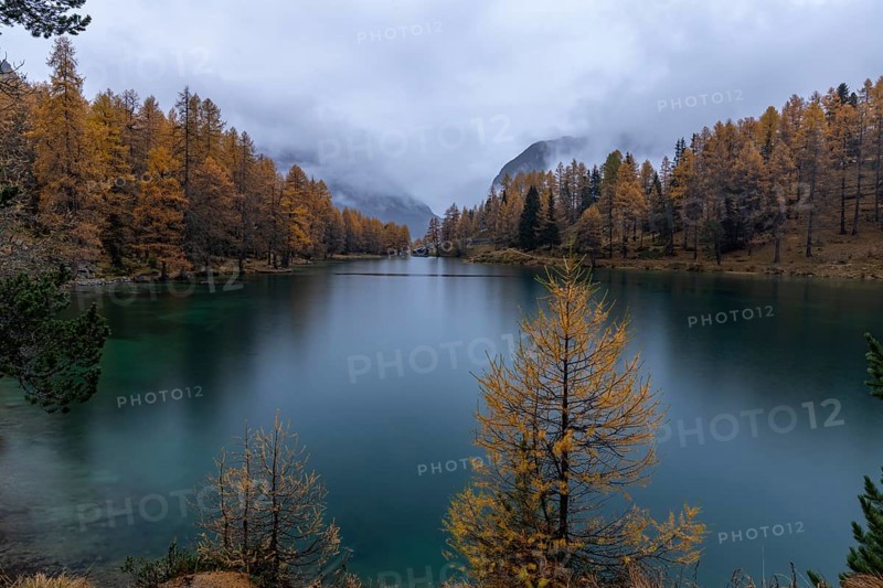Autumn evening atmosphere, Lake Palpuognasee, Bergün-Filisur, Graubünden, Switzerland