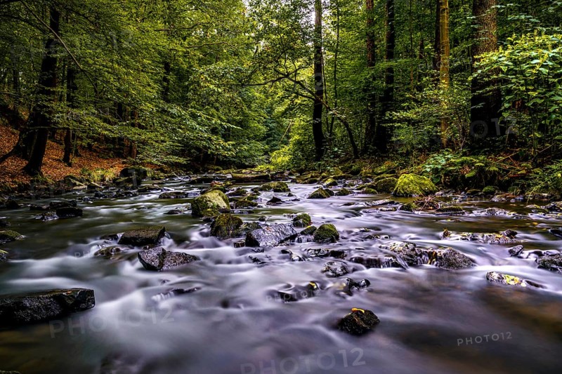River in the valley - the Löbau water in the Georgewitz scale 1
