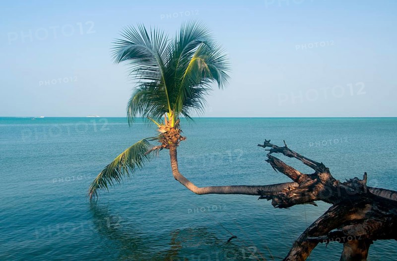 Ko Phangan is 15 kilometers (9.5 miles) north of its more famous neighbour Ko Samui, and, at 168 sq km (65 sq miles) about two-thirds of its size. The island has the same tropical combination of white, sandy beaches, accessible coral reefs and rugged, jungled interior. Once the haunt of budget travelers escaping from more expensive Ko Samui, it is today slowly moving more upmarket.<br/><br/> The island remains much less developed for international tourism than Ko Samui, due in part to its isolation and in part to its poor infrastructural system. The roads, in particular, remain poor, with many places along the coast only accessible by sea or by pickup truck or motorbike along badly maintained trails. The island is part of Surat Thani Province, and is currently administered, together with nearby Ko Tao to the north, as a subdistrict