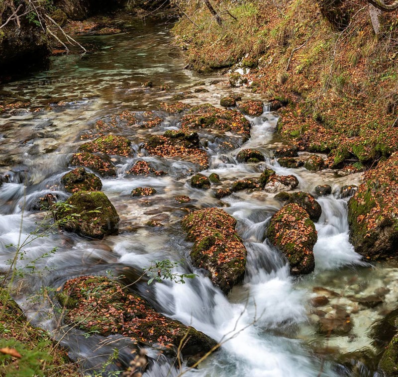 A stream flowing through the beautiful Mostnica Gorge in the Triglav National Park, located in the Julian Alps in Slovenia