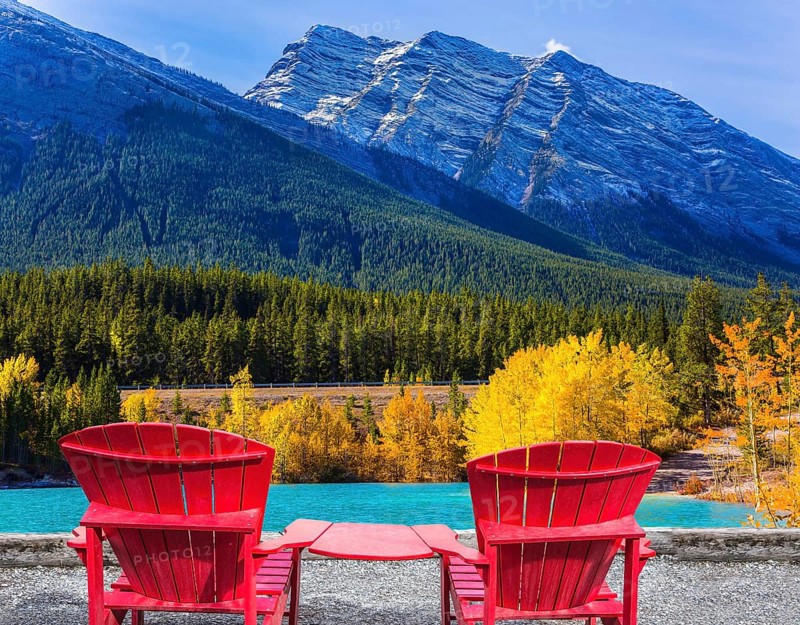 Artificial Abraham lake reflects the golden foliage of aspen and birches. Rocky Mountains of Canada, Autumn flood of Abraham lake. Concept of active, ecological and photo tourism