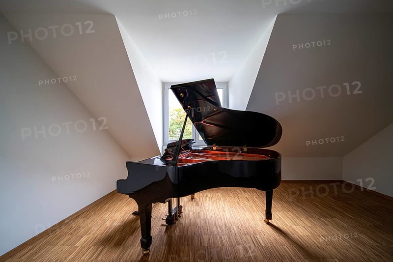 Essen, Haus der Kirchenmusik, After the renovation and refurbishment in 2021, Brüning Rein Architects, Study room with grand piano
