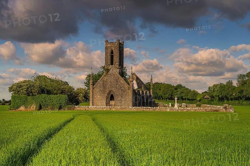 Tracks in cereal leading to old stone ruins and commentary of Ballinafagh Church with dramatic sky at sunset in background, County Kildare, Ireland