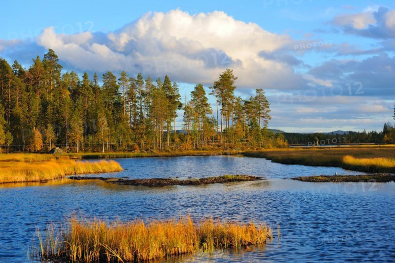 Evening at the lake in Sweden Evening at the lake in Sweden