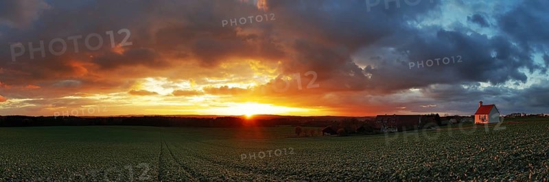 Panorama, sunset in the Ried