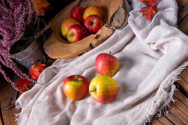 Malus sylvestris, the delicious European crab apple