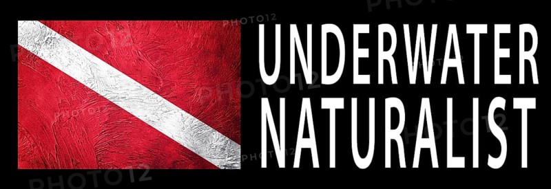 Underwater Naturalist, Diver Down Flag, Scuba flag, Scuba Diving