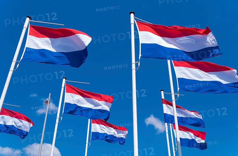 Many dutch flags against a blue sky