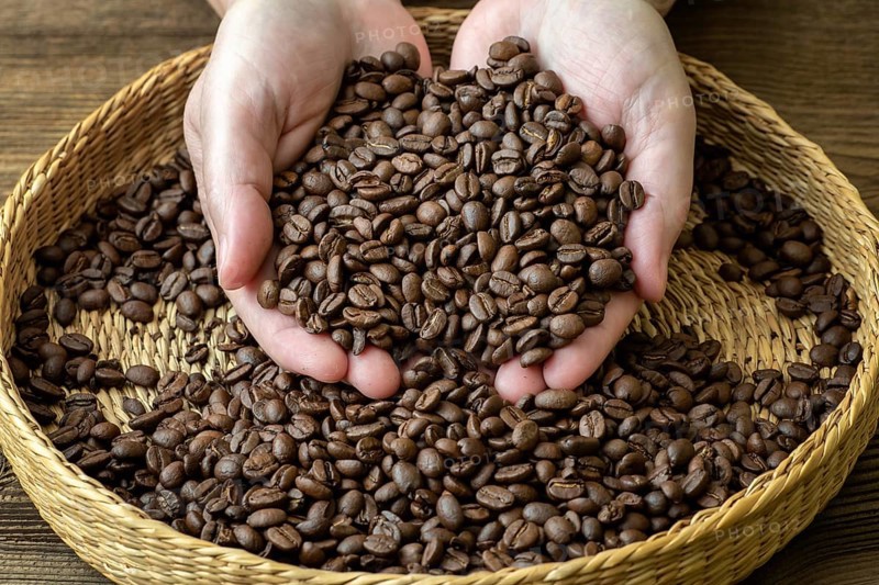 Coffee beans in female hands. Female hands with roasted coffee beans