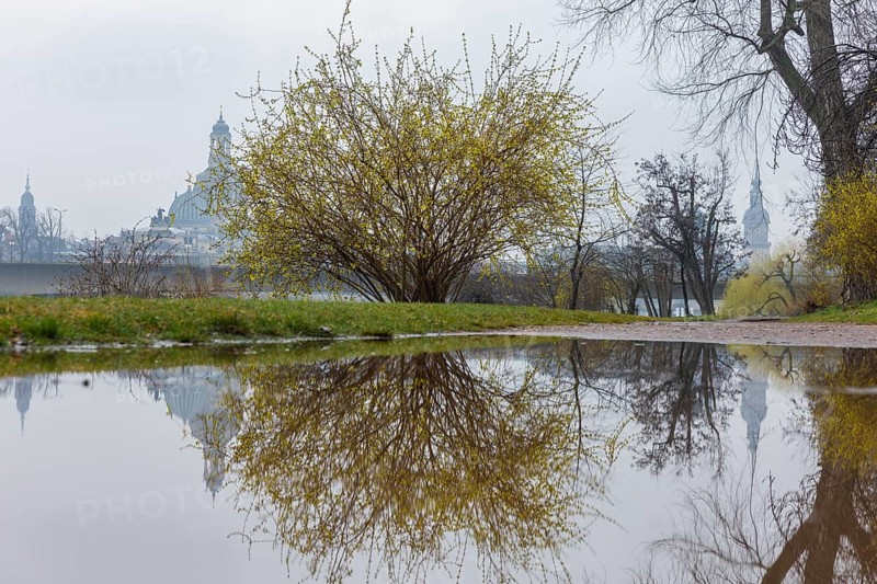 The towers of Dresden's old town are reflected in a puddle on the Königsufer when it rains, Dresden, Saxony, Germany