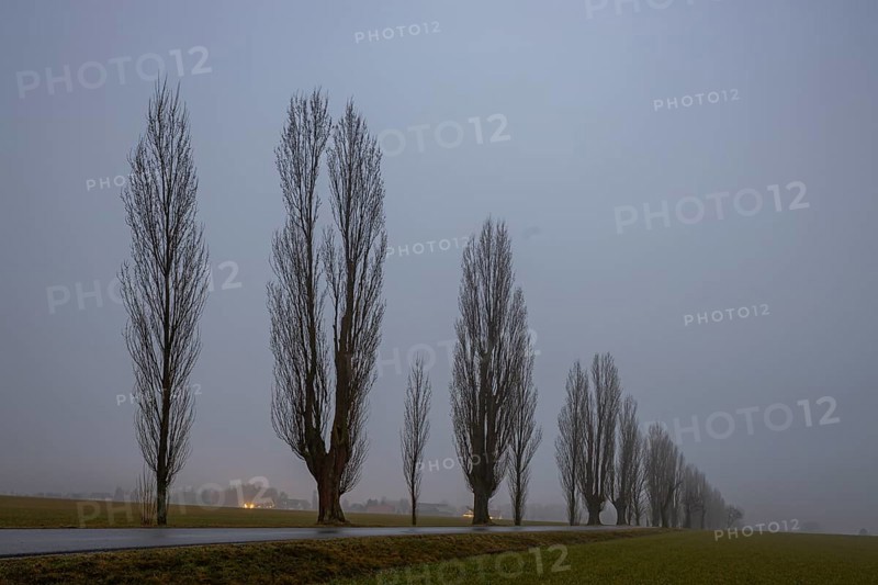 Foggy atmosphere at the Napoleonstraße/Liliensteinstraße in Saxon Switzerland, Ebenheit, Saxony, Germany
