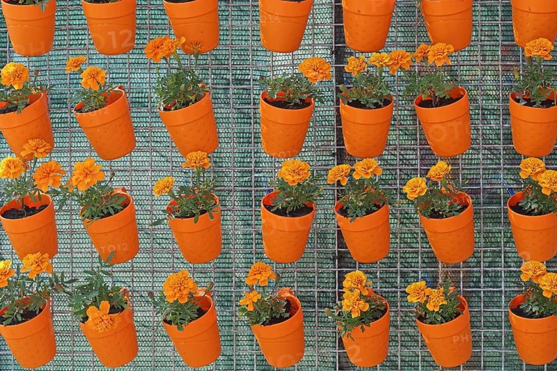 Orange flower pots hanging at wire mesh repetition