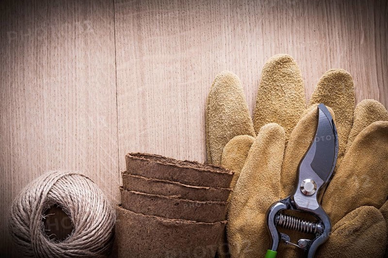 Sharp pruning shears leather safety gloves peat pots and hank of string on vintage wooden board gardening concept