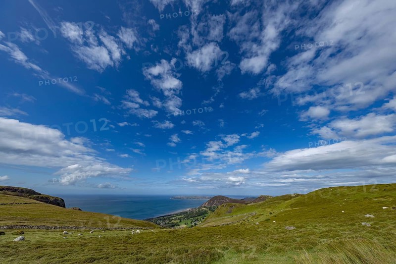 Hilly landscape with green meadows, sheep and stone wall, dry stone wall on the edge of Snowdonia National Park, Penmaenmawr, Dwygyfylchi, Caernarfonshire, Conwy County Borough, Wales, United Kingdom