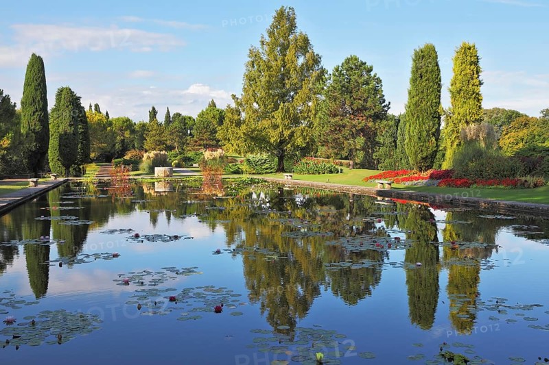Magnificent Italian park at sunset. Smooth water of a pond reflects coastal cypresses and picturesque bushes