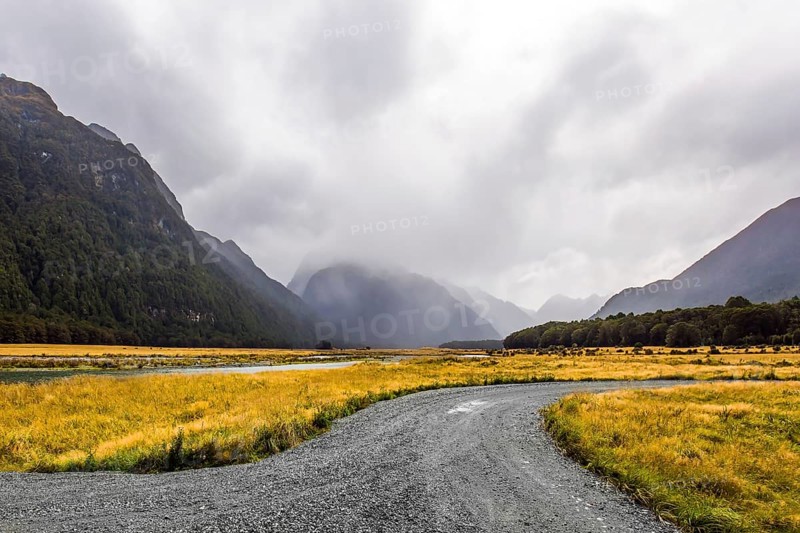 Dirt road to sea fjord Milford Sound. South Island of New Zealand. Fields with yellow autumn grass are surrounded by mountainsides in the fogs. The concept of photo tourism