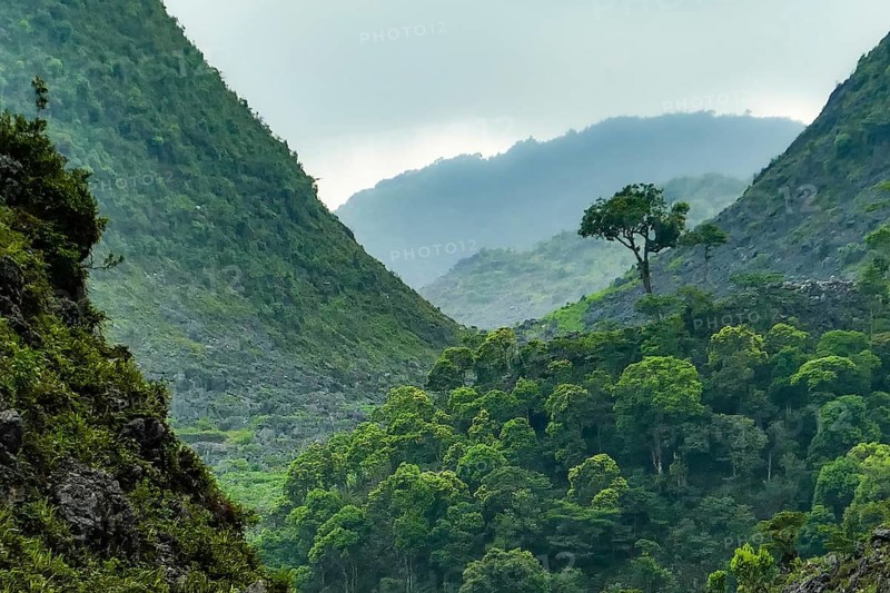 Typical Vietnamese landscape in spring with green vegetation