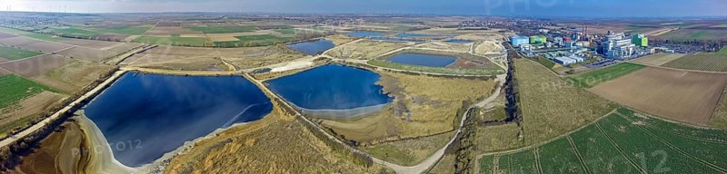 Offstein sewage ponds, ponds of a sugar factory in Rhineland-Palatinate, bird sanctuary, Offstein sewage ponds, Worms district, Rhineland-Palatinate, Germany
