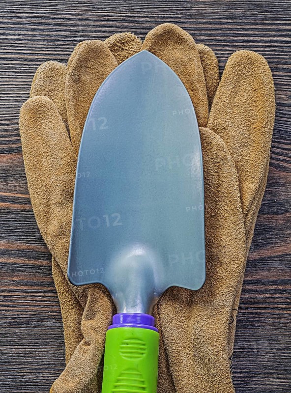 Hand spade leather safety gloves on wooden board agriculture concept