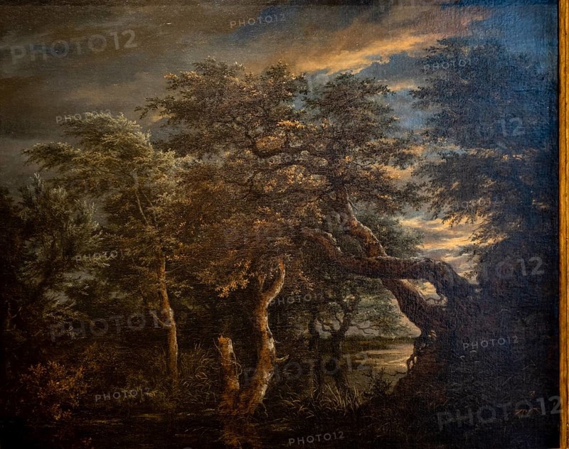 Jacob Isaacksz Van Ruisdael, A marsh in a forest at dusk, 1665, oil on panel, Museo de Bellas Artes, Bilbao, Spain