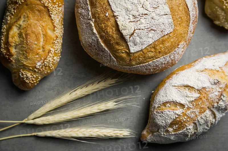 Beautiful Sourdough bread on gray background with dried wheat flower
