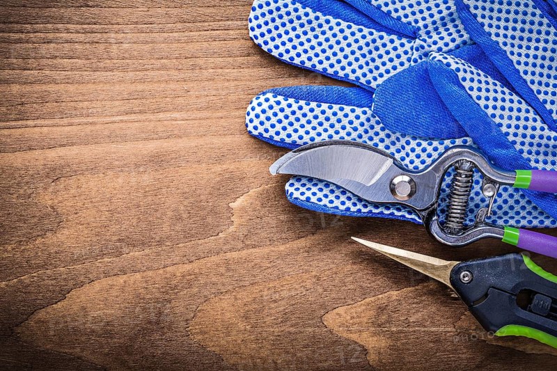 Safety gloves garden shears secateurs on wooden board gardening concept
