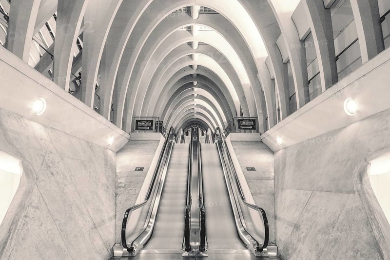 Interior escalator structure with vaulted ceiling and minimalist lighting, Liège-Guillemins railway station, Liège-Guillemins, Belgium