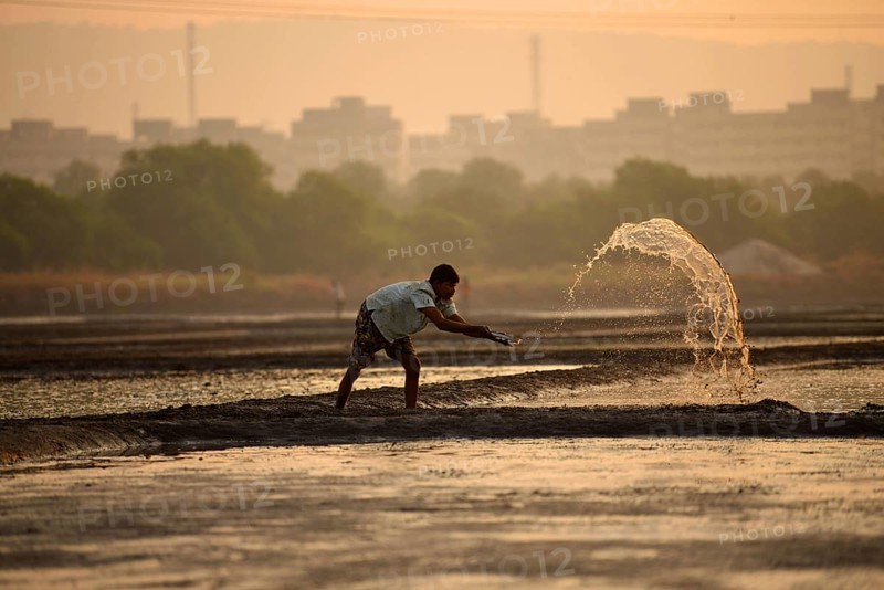 Men working in salt pans, Wadala, Mumbai, Maharashtra, India, Asia