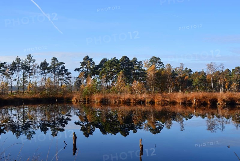 Landscape in Autumn in the Fen Pietzmoor, Schneverdingen, Lower Saxony, Germany. Landscape in Autumn in the Pietzmoor, Schneverdingen, Lower Saxony, Germany