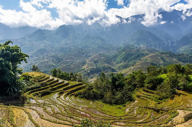 Amazing view on rice terrace in Sapa village, Vietnam