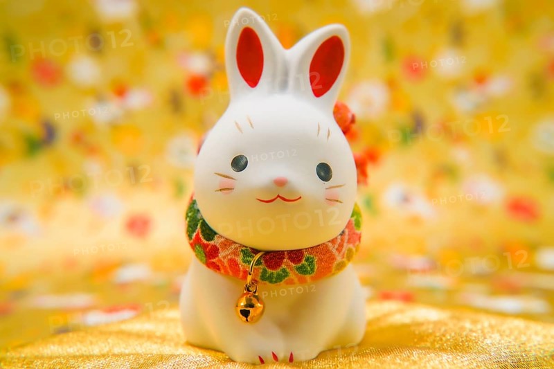 Rabbit year New Year material (New Years card). Shooting Location: Yokohama-city kanagawa prefecture
