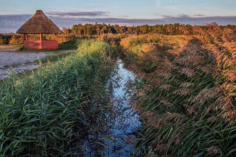 Tidal creek near Born (Fischland-Darß-Zingst peninsula)
