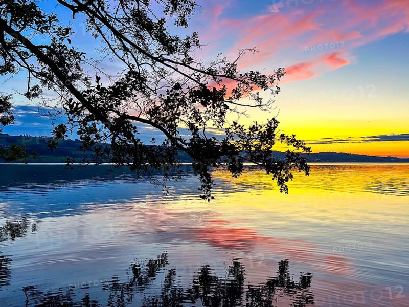 Colourful sunset on Lake Sempach with pink and blue sky reflections in the water, Sempach, Lucerne, Switzerland