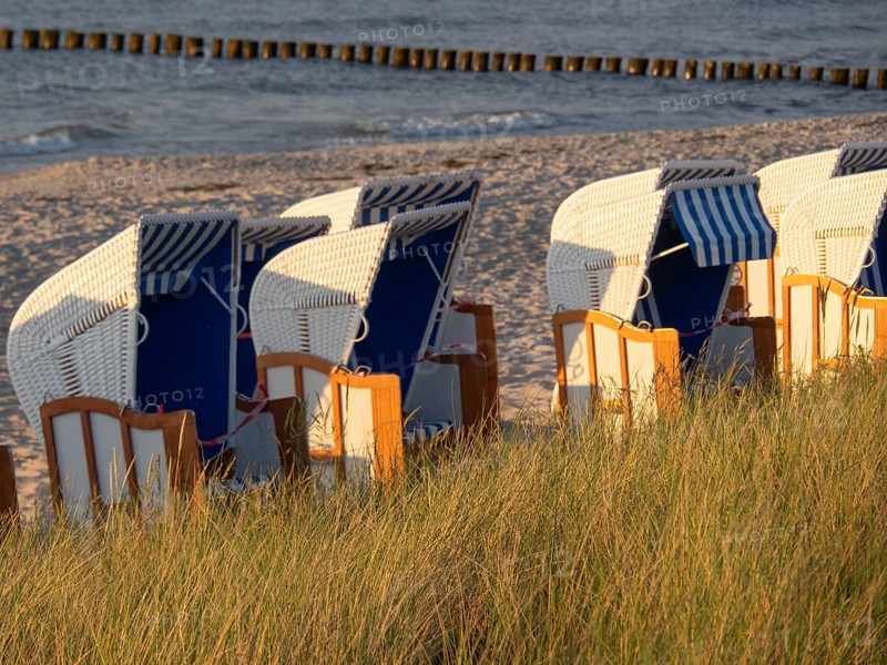 Row of beach chairs stands on the sandy beach overlooking the sea on a summer's day, zingst, mecklenburg-vorpommern, germany