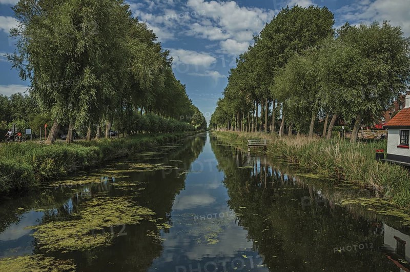 Bushes and grove along canal with sky reflected on water, in the late afternoon and blue sky, near Damme. A quiet and charming countryside old village near Bruges. Northwestern Belgium