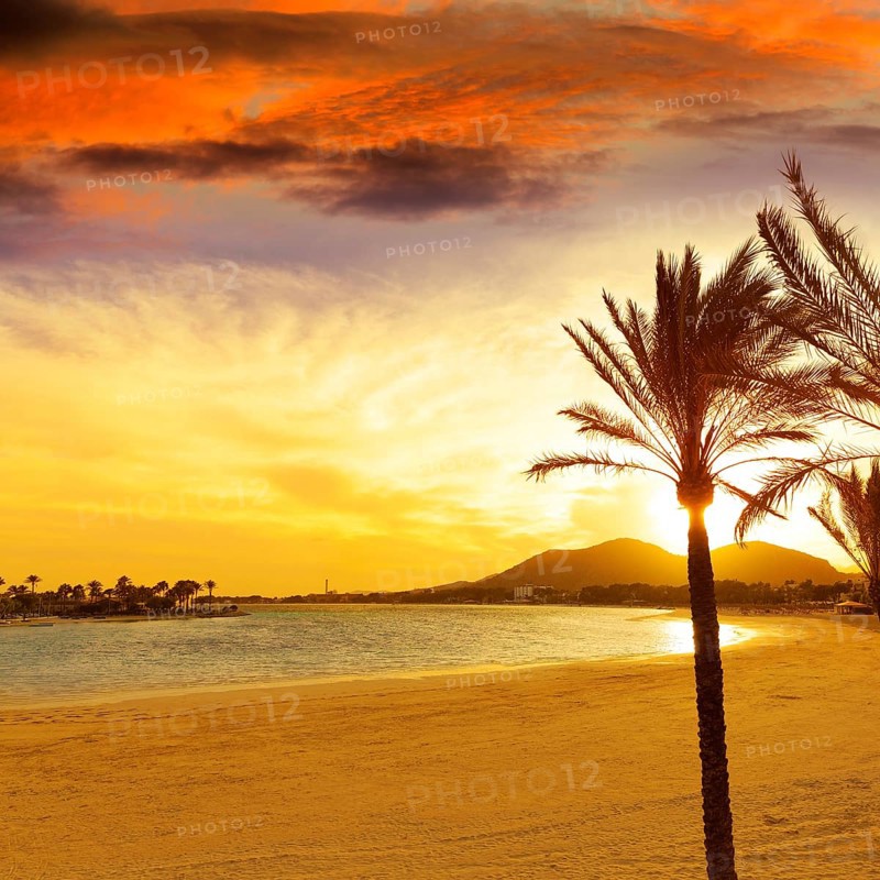 Alcudia Majorca at sunset on the beach Mallorca Balearic islands