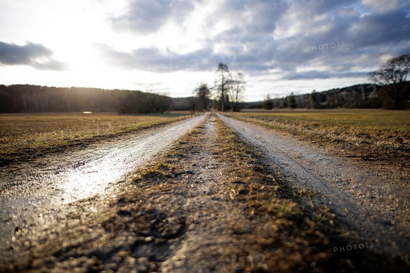 A muddy path leads into the distance, illuminated by soft evening light under a cloudy sky, Mindelsee, Allensbach, Lake Constance, Baden-Württemberg, Germany