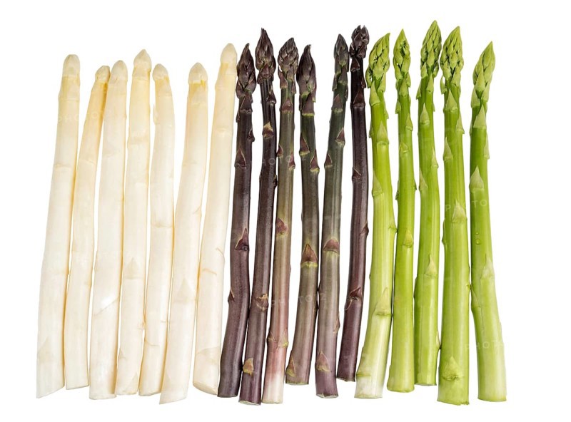 White, green and purple asparagus cropped on a white background