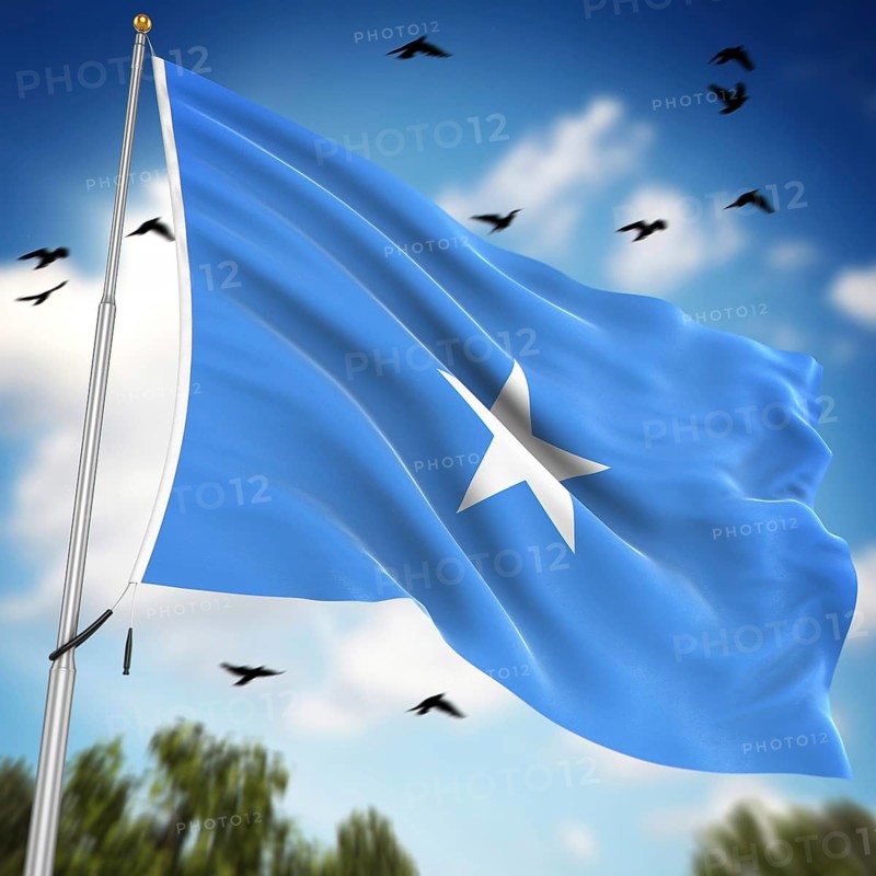 Flag of Somalia, This is a computer generated and 3d rendered image