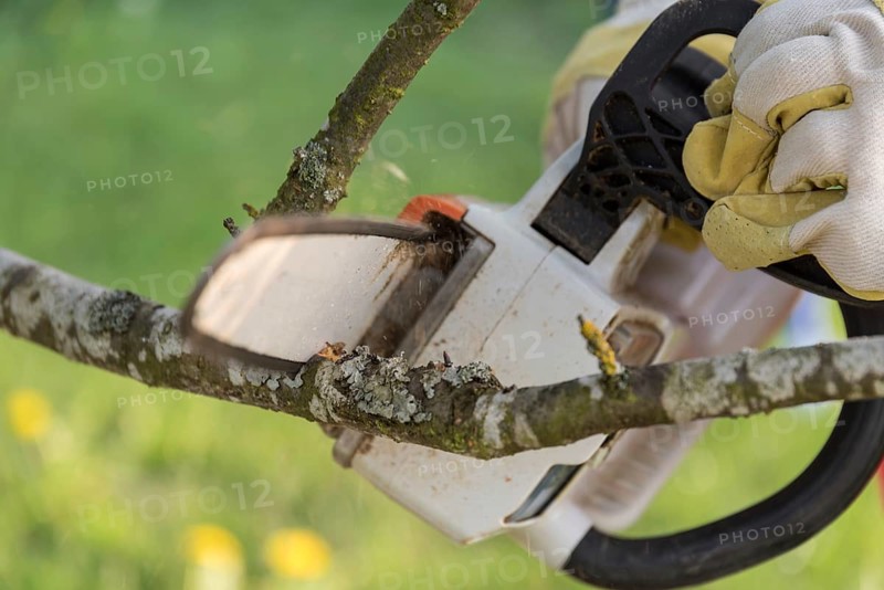 Gardener cutting a branch on a tree with a cordless chainsaw - close-up chainsaw