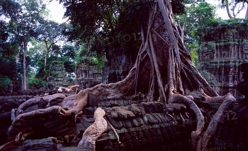 Cambodia: Ankor Wat temple ruins